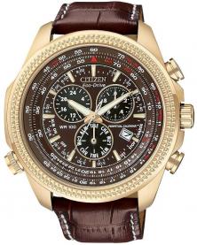 Citizen BL5403-03X Perpetual Calendar  Uhren