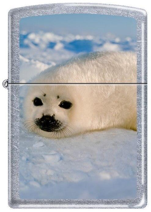 Zippo Seal Pup 0230 Feuerzeug
