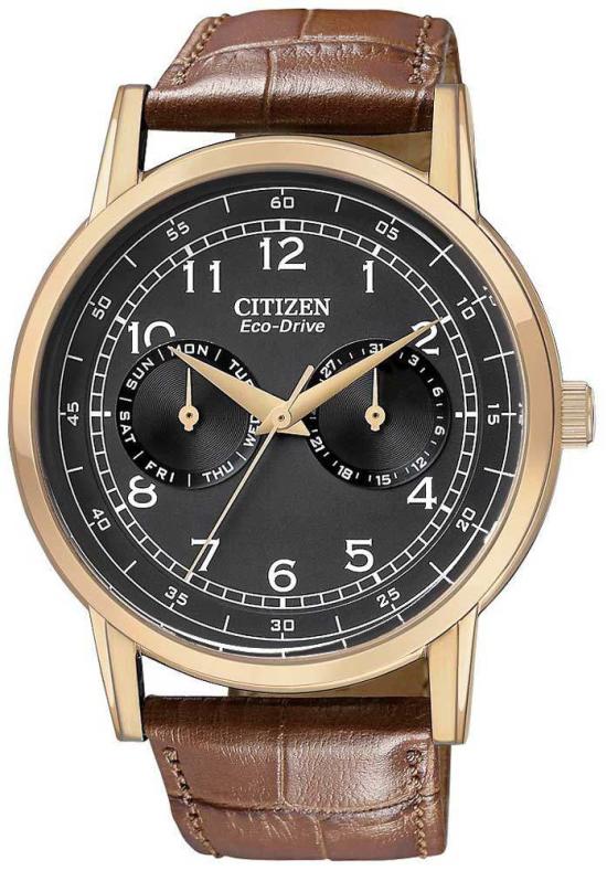 Citizen AO9003-08E Straps Uhren