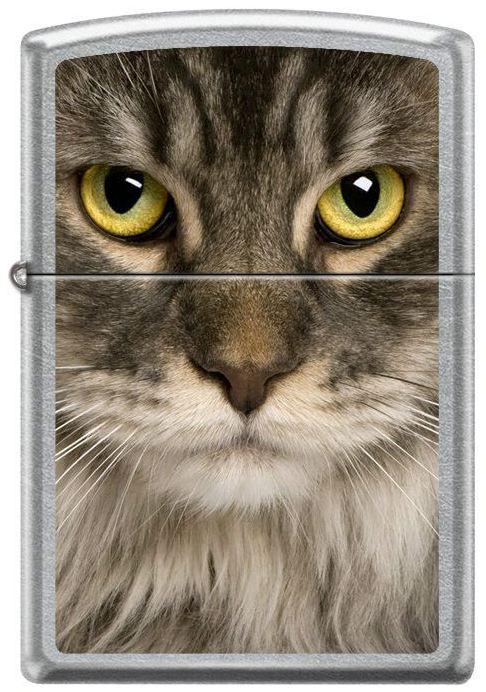 Zippo Coon Cat 6116 Feuerzeug
