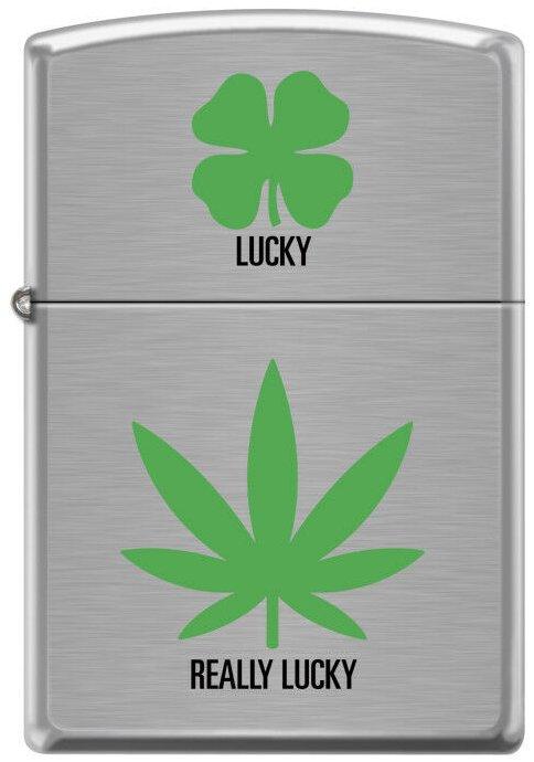  Zippo Cannabis Really Lucky 6676 Feuerzeug